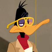 daffy duck daffy duck